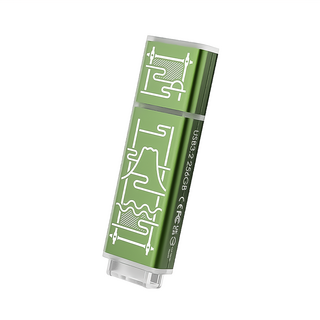 TCELL 冠元科技 老屋顏 台灣經典鐵窗花隨身碟 獨家聯名款 USB 3.2 256GB - 山光水色(綠), 1個