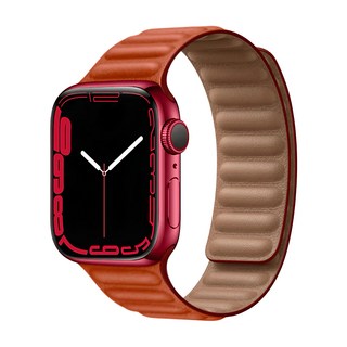 OMG Apple Watch 10 皮質鏈式磁吸錶帶 46mm, 丹霞色, 1個
