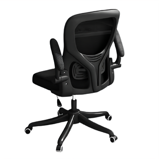 人體工學辦公椅 乳膠一般款, 黑色, 100~108 x 62 x 50cm