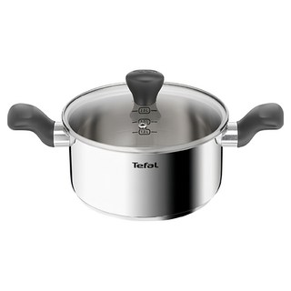 Tefal 特福 不鏽鋼電磁爐適用易煮雙耳鍋, 1個, 20cm, 銀色