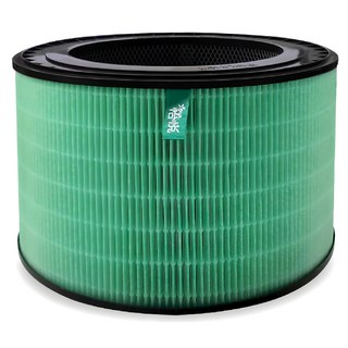 YEAR怡悅 抗病毒hepa 除臭濾網 適用 lg as601hwg0/101dwh0/651dwh0/651dss0 as951dpt0 超級大白, 1個
