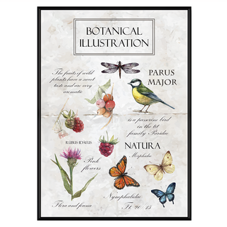 BOLUO GALLERY 菠蘿選畫所 復古植物圖鑑 掛畫 BFVI3405B, 黑色