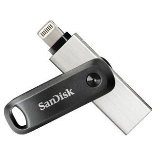SanDisk 晟碟 iXpand Go 雙用隨身碟 iPhone and iPad適用, 256GB, 1個