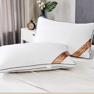 Ishur 伊舒爾 奢華尊貴羽絲絨枕, 1個, 白色