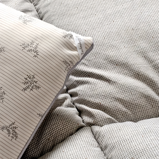 Embrace 英柏絲 石墨烯發熱被保暖冬被胎 添加Alpha Heat發熱技術 蓬鬆柔軟 舒適服貼, 初春