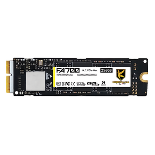 AITC 艾格 M.2 Mac 2280 PCIe NVMe SSD 固態硬碟 專為蘋果Mac電腦設計, FA700, 256GB