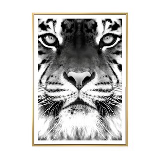 獨行獵者 老虎, 金色