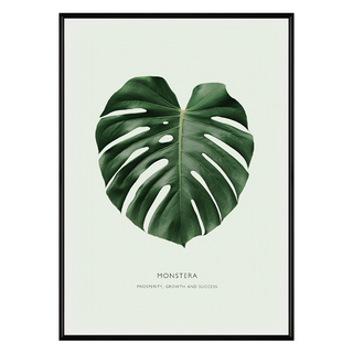 欣欣向榮 龜背竹 Monstera 植物掛畫, 30 x 40cm, 黑色框