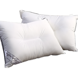 I'm Living 飯店專用 C型拉鍊式枕芯 黑邊+白色, 40x60公分, 2個