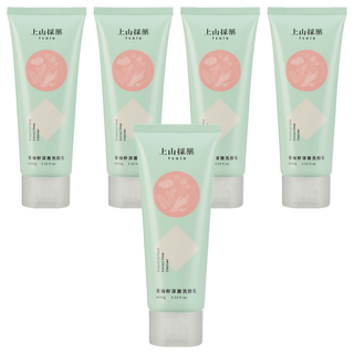 tsaio 上山採藥 青柚籽深層洗顏乳 100g 平衡肌膚油脂 草本菁萃 喚膚潤澤, 5條