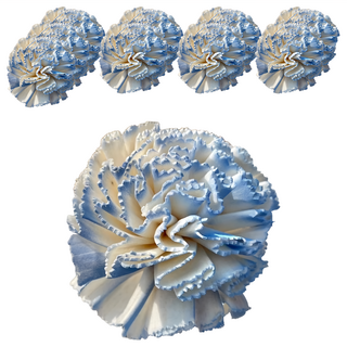 康乃馨 莫藍 索拉花 單顆裝, 10個