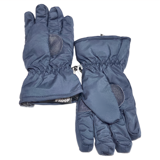 SNOW TRAVEL 雪之旅 AR ONE 英國TPU防水套 + 白鵝羽絨700fill防水保暖滑雪手套