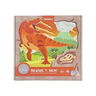mideer 霸王龍 考古挖掘套組, 1組