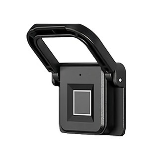 Viita 拉手一體式智能電子指紋鎖 黑色 抽屜/櫃子/辦公室/家用, 1個