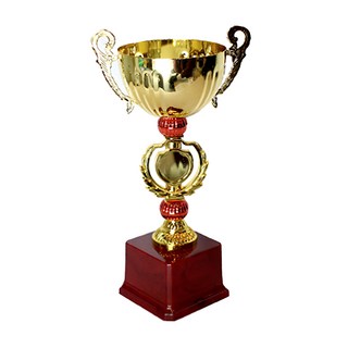 Stupid 競賽冠軍頒獎金色大獎盃, 金色, 1個