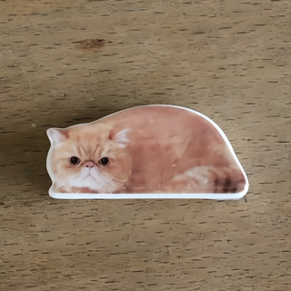 日本 Decole Oh my Cats 貓咪筷架 陶瓷 11.6x5.7xH1.2cm, 異國短毛貓, 1個