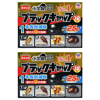 興家安速 小黑帽 蟑螂餌劑 12入 一年長效滅蟑, 24g, 2盒