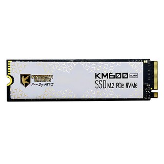 AITC 艾格 KINGSMAN ULTRA M.2 2280 PCIe SSD 固態硬碟, KM600, 256GB