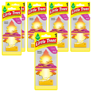 Little Trees 小樹香片 麝香海岸, 安全無害, 適合車內/家庭/辦公室, 香氣持久清新, 7g, 6片