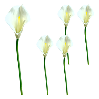 FLORAL M 仿真花 氣質仙女黃蕊白海芋花材 5個 居家裝飾, 5件, 白色