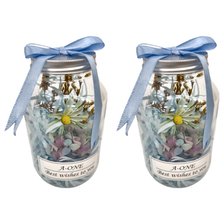 A-ONE 匯旺 永生花許願花瓶 K款 藍雛菊 AE-FB11, 2入