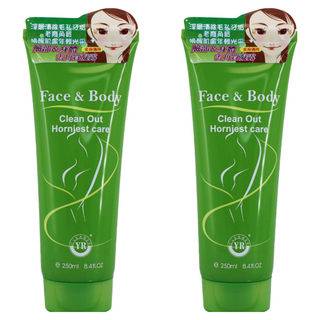 YR 葉璐芝 臉部身體綠茶去角質凝露 深層清潔毛孔汙垢, 250ml, 2條