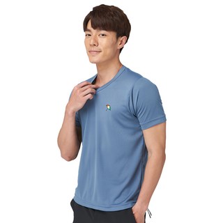 Arnold Palmer 雨傘牌 DRY網眼V領短袖衣 100%聚酯纖維 台灣製, M, 藍灰