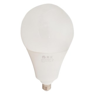 DANCELIGHT 舞光 LED 燈泡 38W 直徑13 x 23cm, 白光, 1個