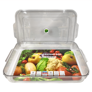 透明冰箱收納盒 可視 耐酸鹼 無需疊加 加大容量, 1個