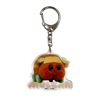 日本商品 天竺鼠車車盒玩壓克力吊飾, 1個, PMRC-009