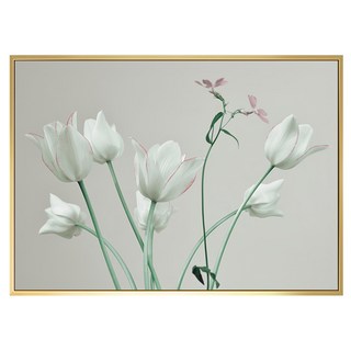 Boluo 菠蘿選畫所 花語 鬱金香掛畫 40 x 30cm 北歐風 客廳裝飾畫, 金色