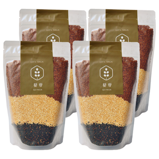 LET'S SAGA 彩虹藜麥 高蛋白質穀物, 500g, 4包