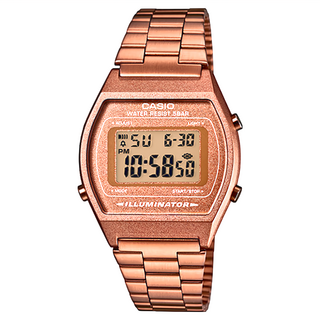 CASIO 卡西歐 手錶 B-640WC-5ADF