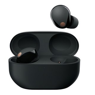 SONY 索尼 主動降噪藍芽耳機 原廠保固, WF-1000XM5, 黑色