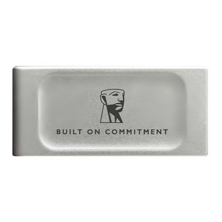 Kingston 金士頓 新版 行動固態硬碟 XS2000, 1TB, 銀色