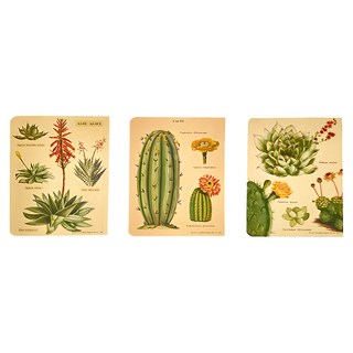 CAVALLINI&CO. 口袋筆記本 Set 3本, 多肉植物, 1組