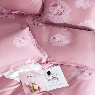 Aaron 艾倫生活家 40支100%純天絲床包枕套組