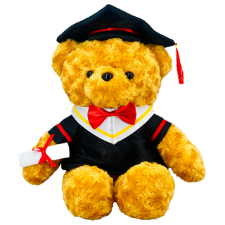 AllBeMine 歐比邁 畢業熊 玫瑰絨版 長版 棕色 畢業禮物 畢業玩偶, 43cm, 1個