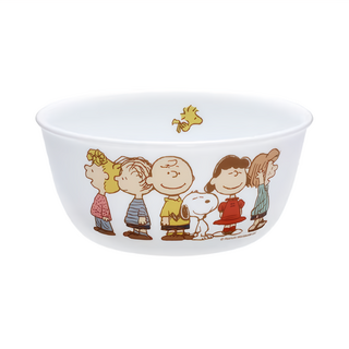 Corelle Brands 康寧餐具 拉麵碗 900ml, SNOOPY FRIENDS, 1個