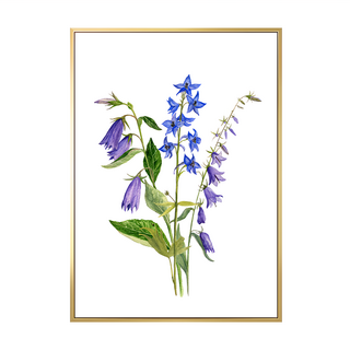 風鈴草花束 畫框, 40 x 30cm, 金色