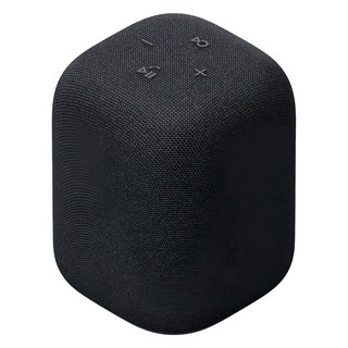 SONY 索尼 LinkBuds Speaker 藍牙無線揚聲器 原廠保固, SRS-LS1, 黑色