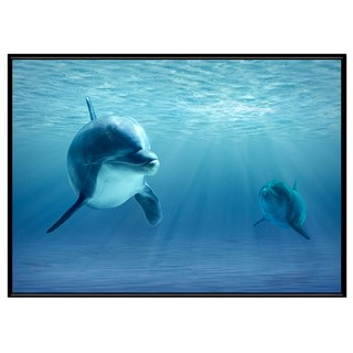BOLUO GALLERY 菠蘿選畫所 海豚 微笑的力量 ANSL4616B 掛畫, 黑色