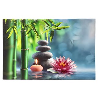 24mama 掛畫 單聯式 溫泉 植物花卉 石頭 天然 治療 安寧 放鬆 靜思語 無框畫 時鐘掛畫, 60 x 40cm, 水療