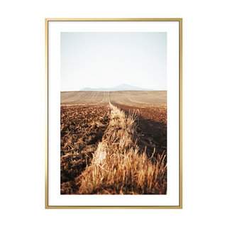 秋收 II 風景藝術掛畫, 金色