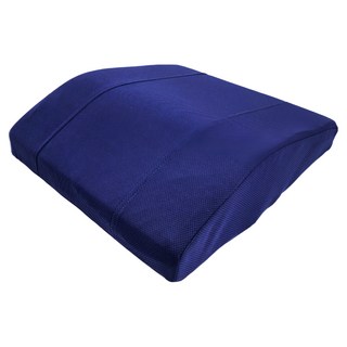 HOLA 和樂家居 高密度抗菌健康強化曲線腰墊, 丈青