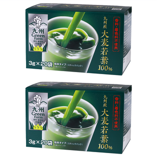 Global Garden 盛花園 日本九州產100%大麥若葉青汁 隨身小包裝 無農藥殘留認證, 60g, 2盒