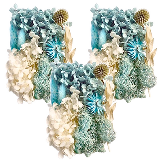 A-ONE 匯旺 天然乾燥花 3盒, 多種規格, 柔藍一水