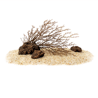 畫法幾何 南美風枯木造景 米家智慧魚缸專用 HFZJ100, 1組