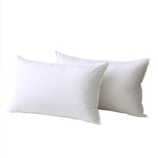 LAMINA 樂米娜 吸濕排汗柔眠枕, 1個