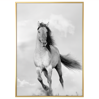 Boluo 菠蘿選畫所 馳騁的野馬 ANSS3406G 掛畫 40 x 30cm 畫框, 金色